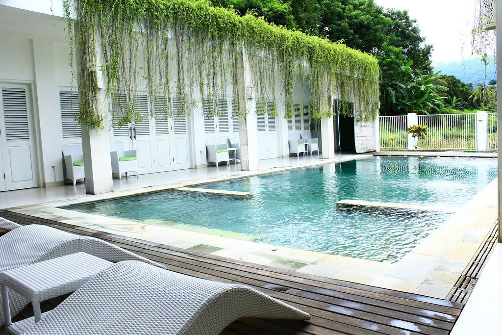 Villa Putih Lovina Exteriör bild